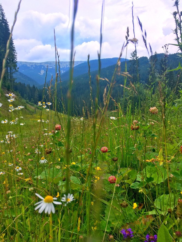 Photograph by Anna Krasova