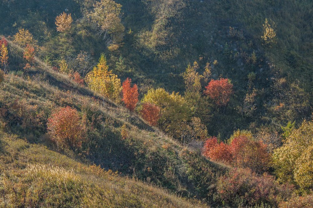 Красно-жёлтые дни