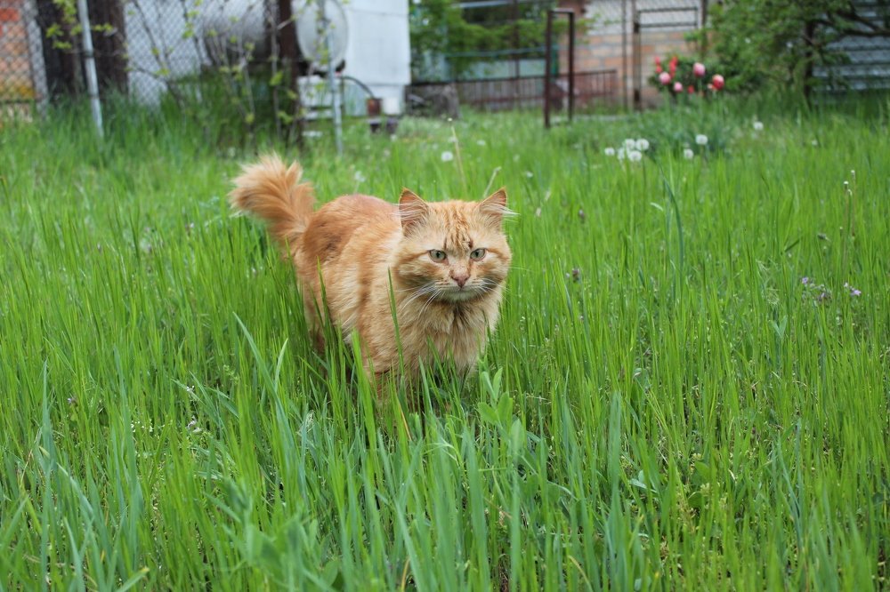 Photograph by Елена Кузнецова