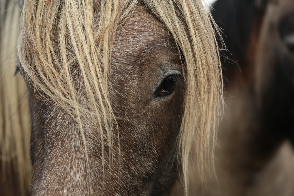 Photograph by Inga Butkovski