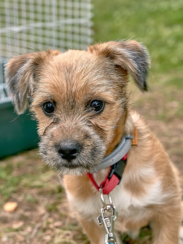 Photograph by Елена Мормоль