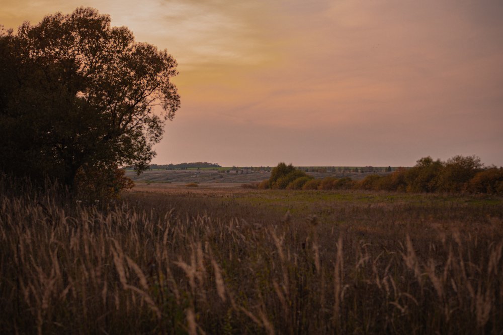 Photograph by Марина Гаврилова