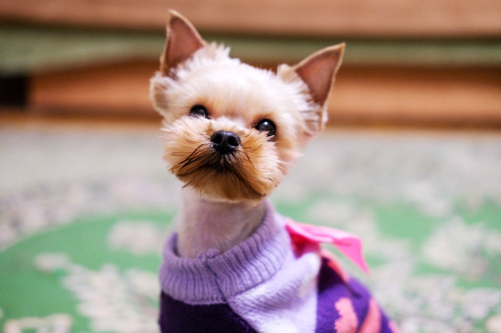 Photograph by Михаил Серебренников