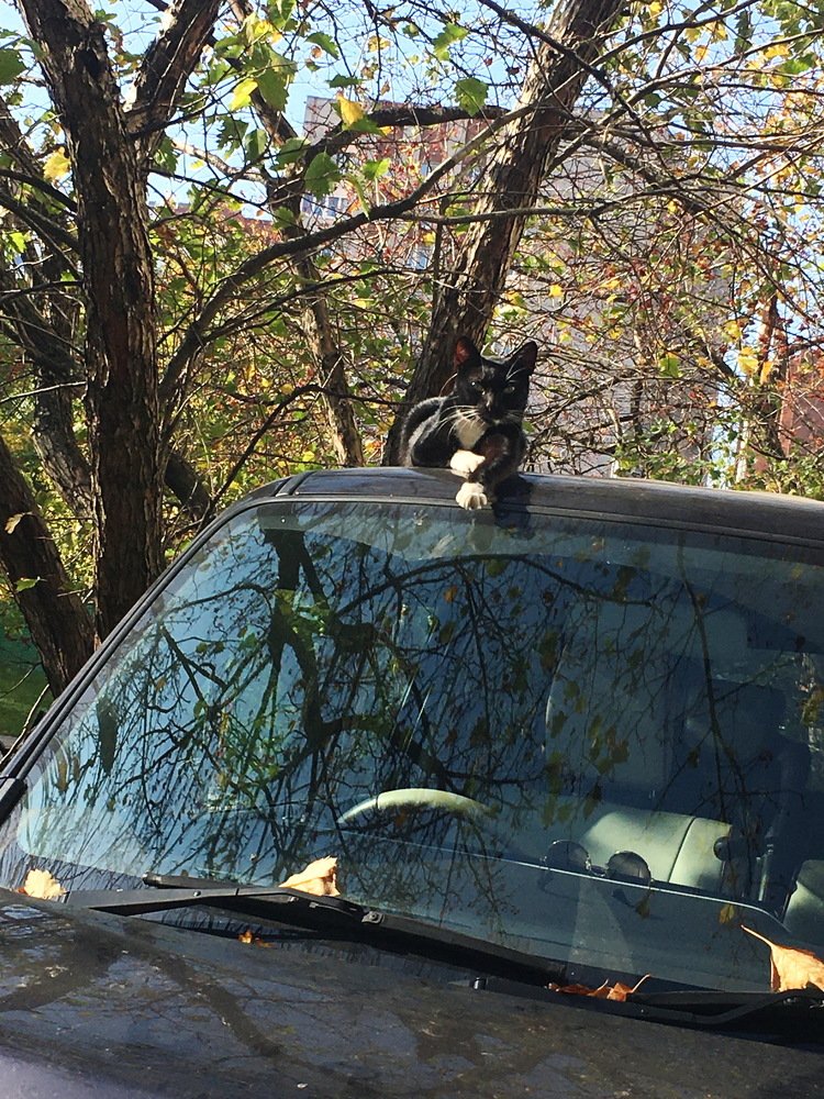 Наш двор...!!!