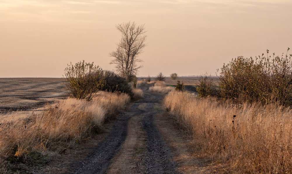 Photograph by Игорь Кляхин