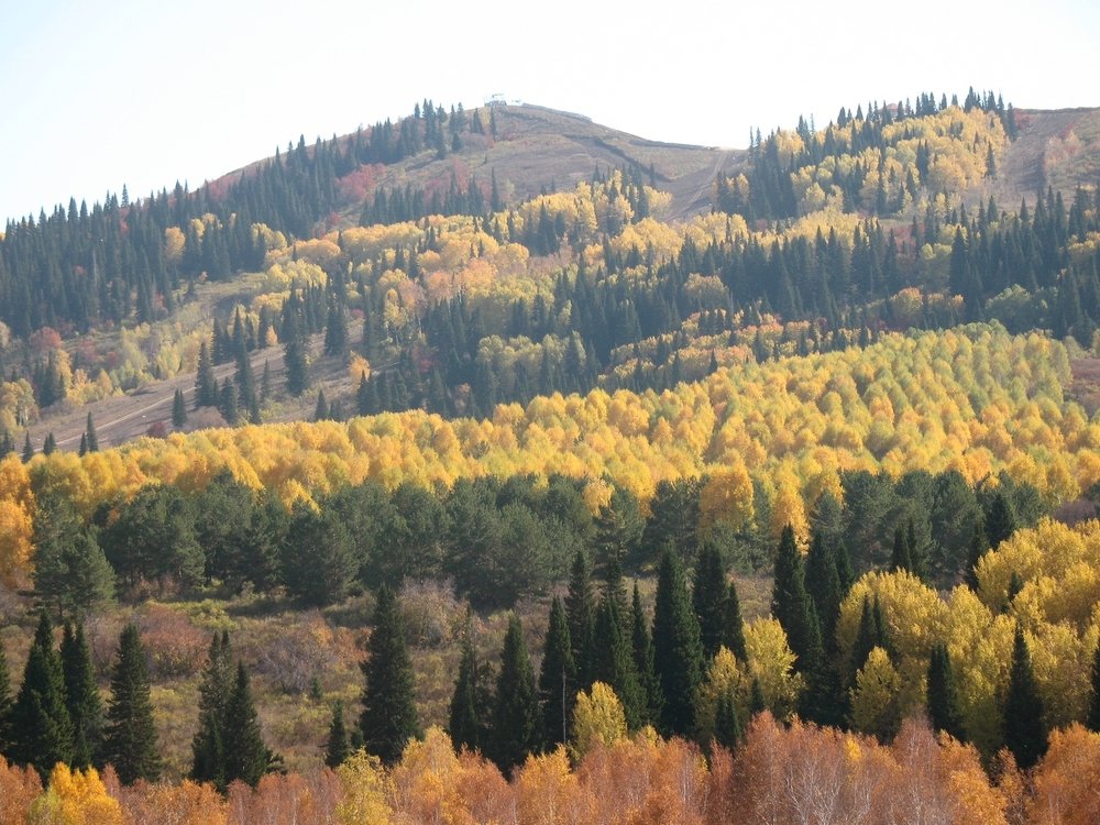 Княжьи горы. Восточный Казахстан