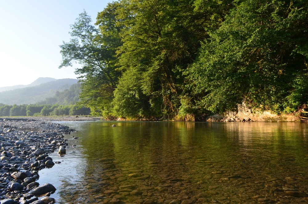 Утро на реке Шахе