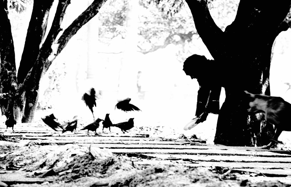 Photograph by Khan Morad Ahammad