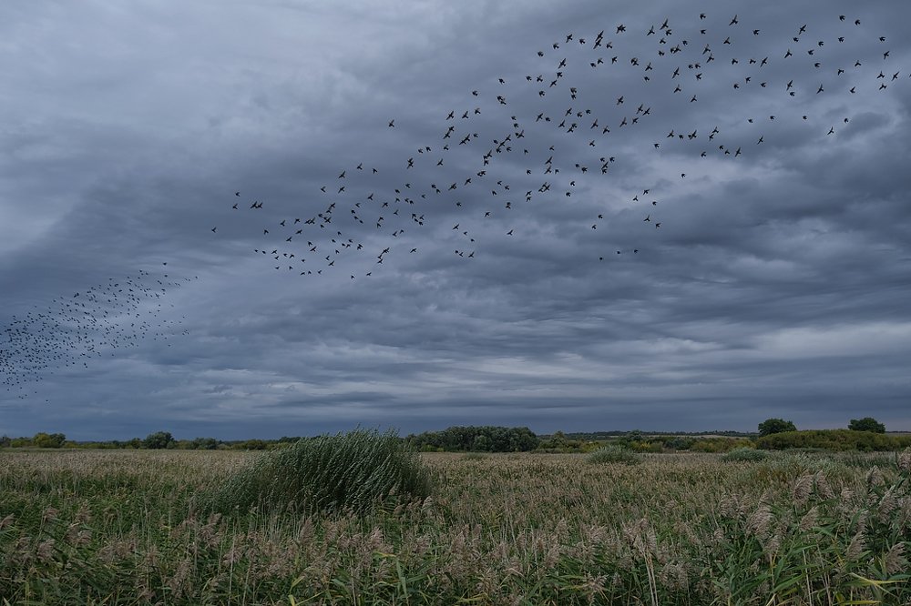 Фотография автора Марина Савчиц