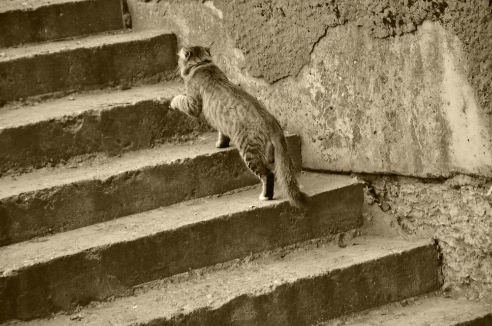 Photograph by Константин