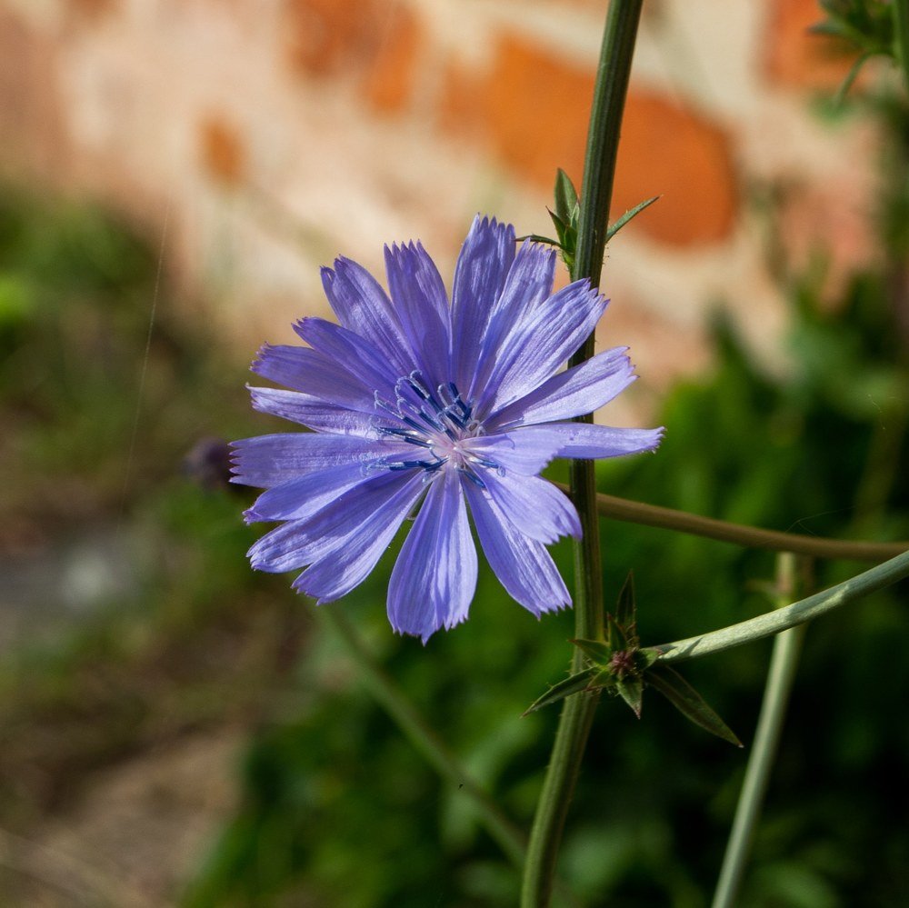 Photograph by Anna Prohorova