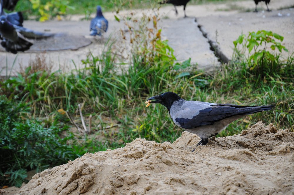 Photograph by Константин