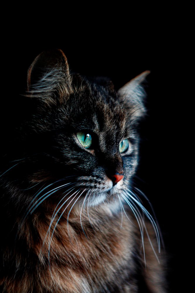 Photograph by Юрий Петров