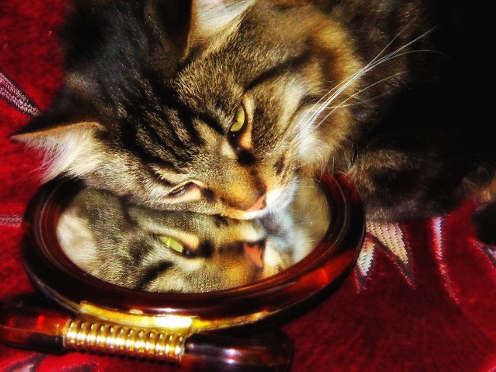 Photograph by Светлана Ковалёнок