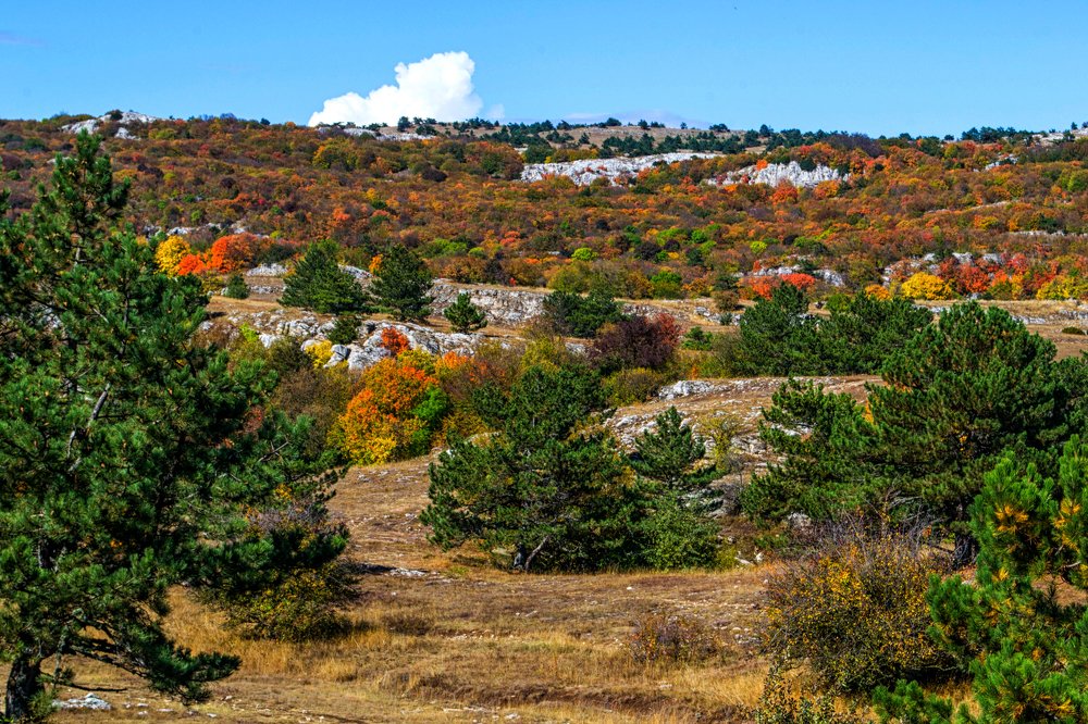 Photograph by Александра Коновалова