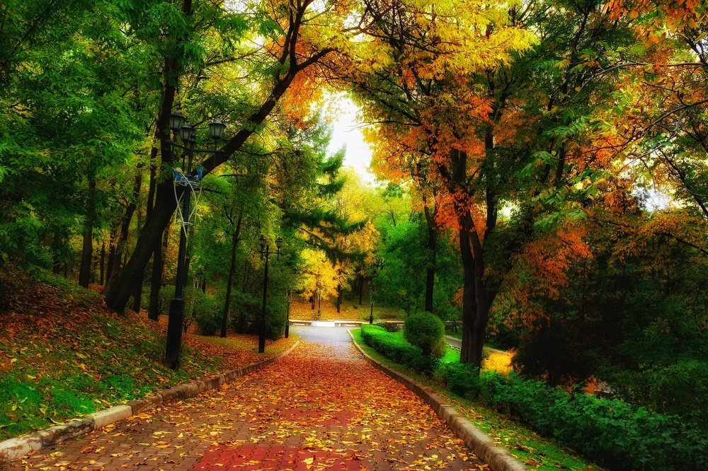 Photograph by Сергей Колесниченко