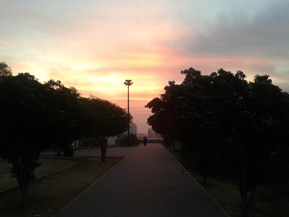 Photo #5040185