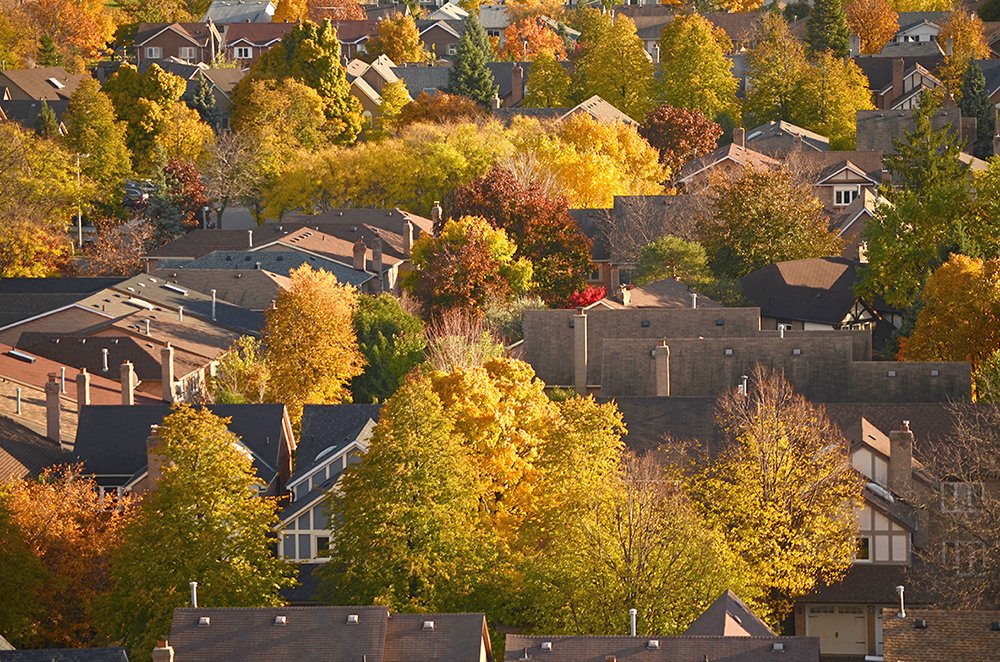 Photograph by Liliana Grup