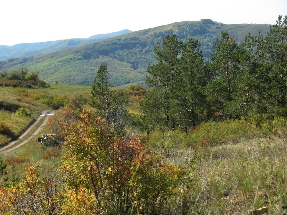 Горноульбинка. Восточный Казахстан