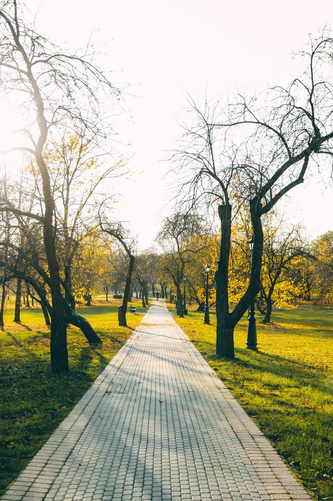 Фотография автора Татьяна Бычкова
