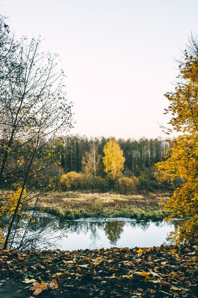 Фотография автора Татьяна Бычкова