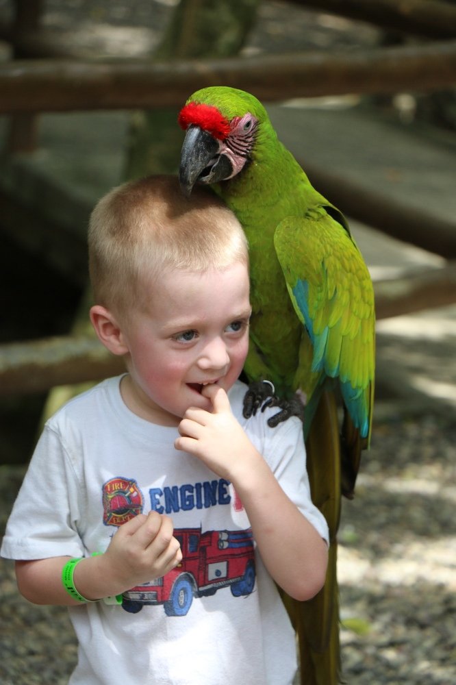 Photograph by Маргарита Венсил.