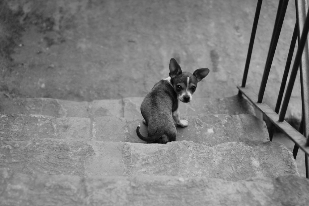 Practicando en la escalera
