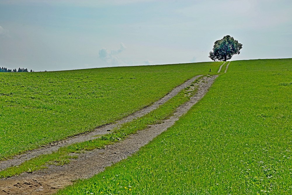 Photograph by Евгений Аккуратов
