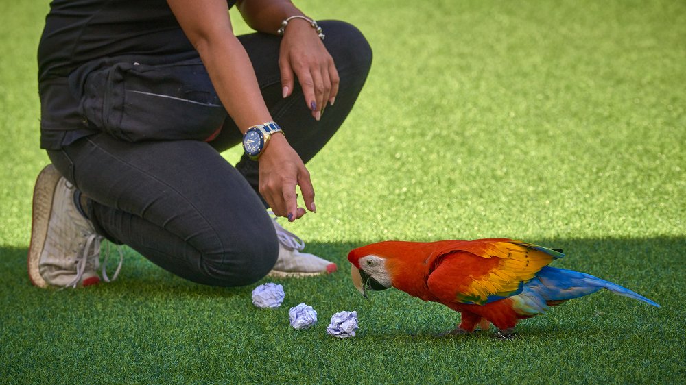 Photograph by Алексей Кисель