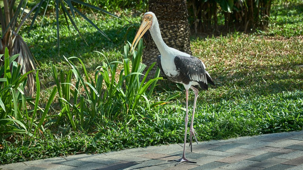 Photograph by Алексей Кисель