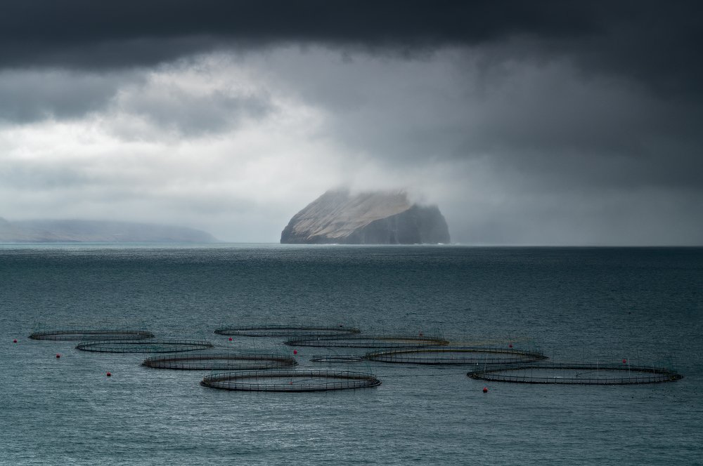 Photograph by Paolo Rubeo