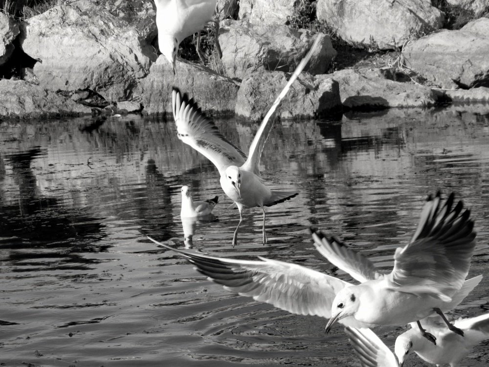 Photograph by Марина Савченко