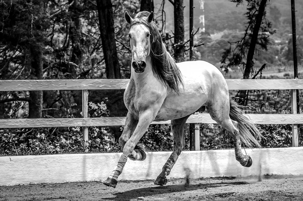 Photograph by Estuardo Estrada Alday