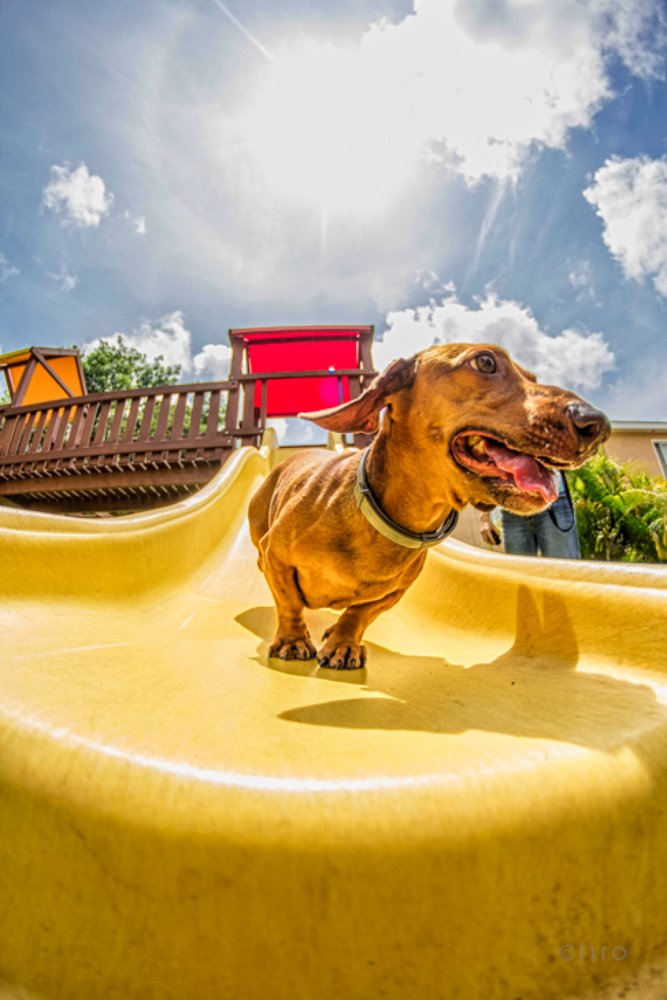 Photograph by Estuardo Estrada Alday