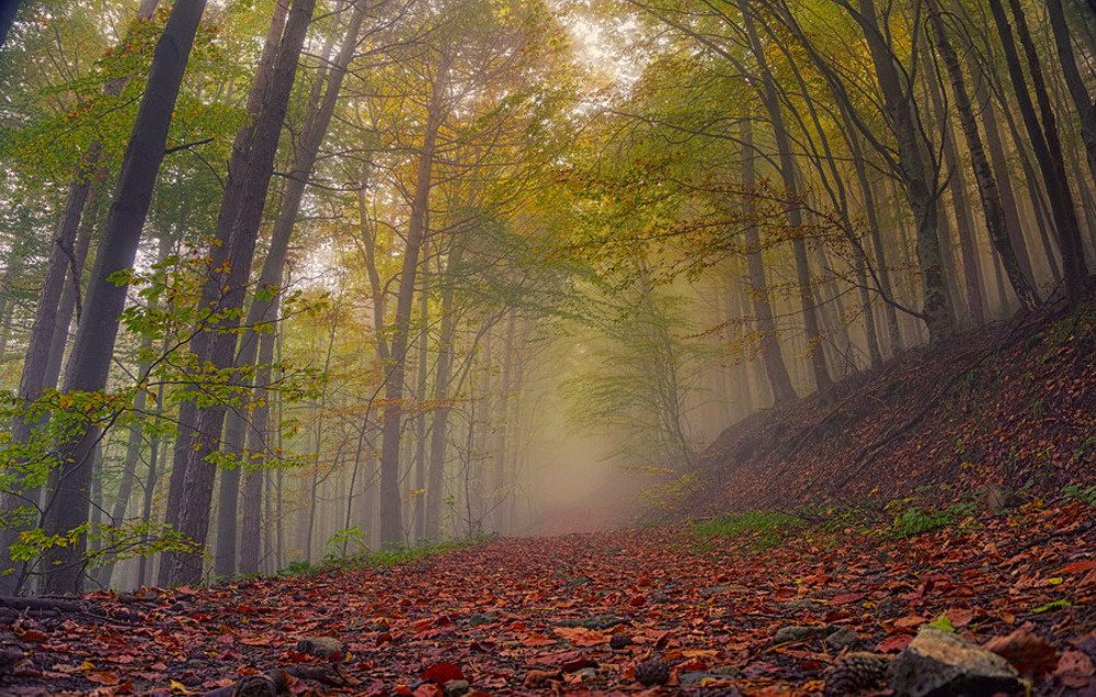 Photograph by Севдалин Миланов