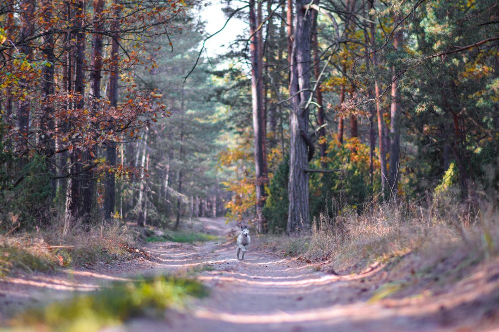 Фотография автора Мария Яропольская
