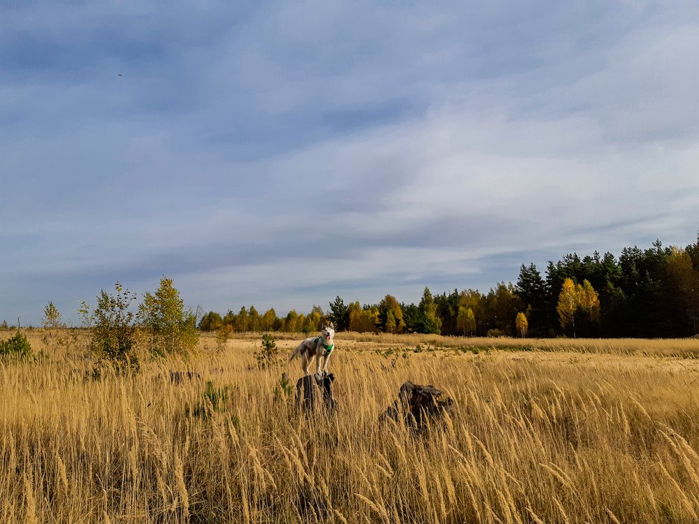Фотография автора Мария Яропольская