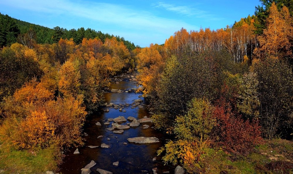 Краски осени.