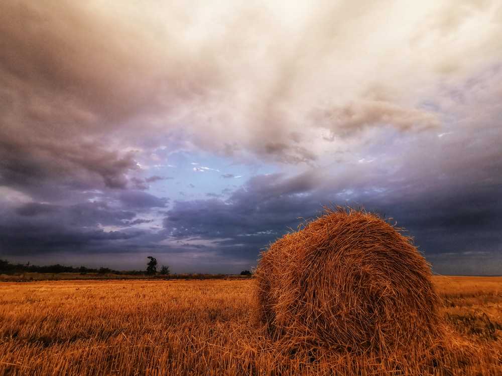 Photograph by Елена Галандина