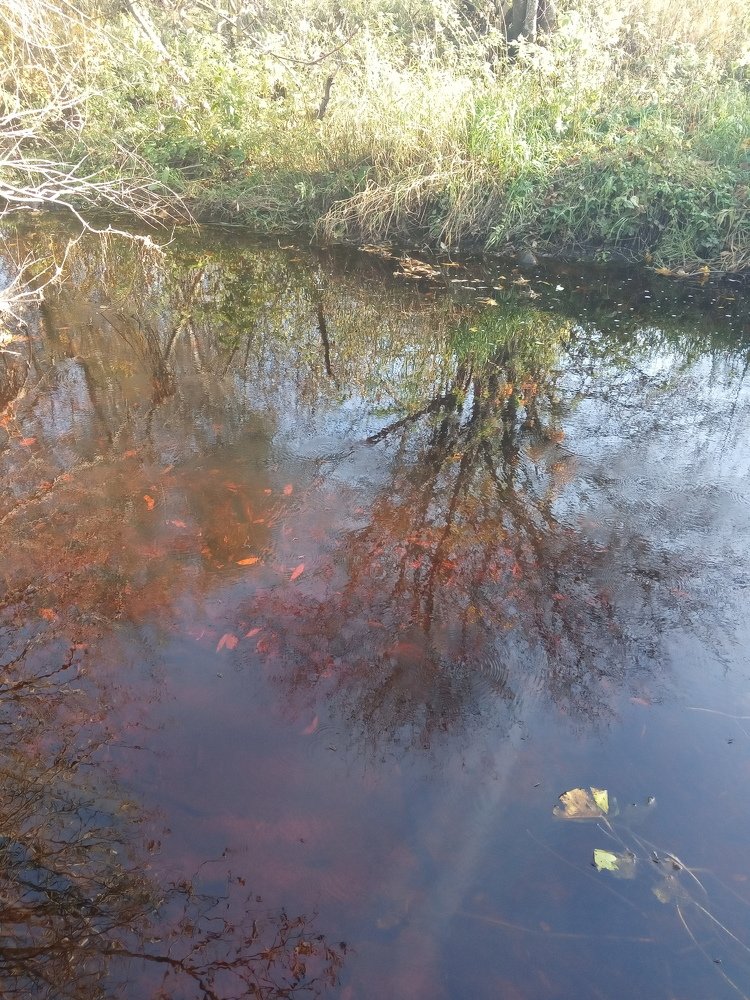 Photograph by Любовь Шаврина