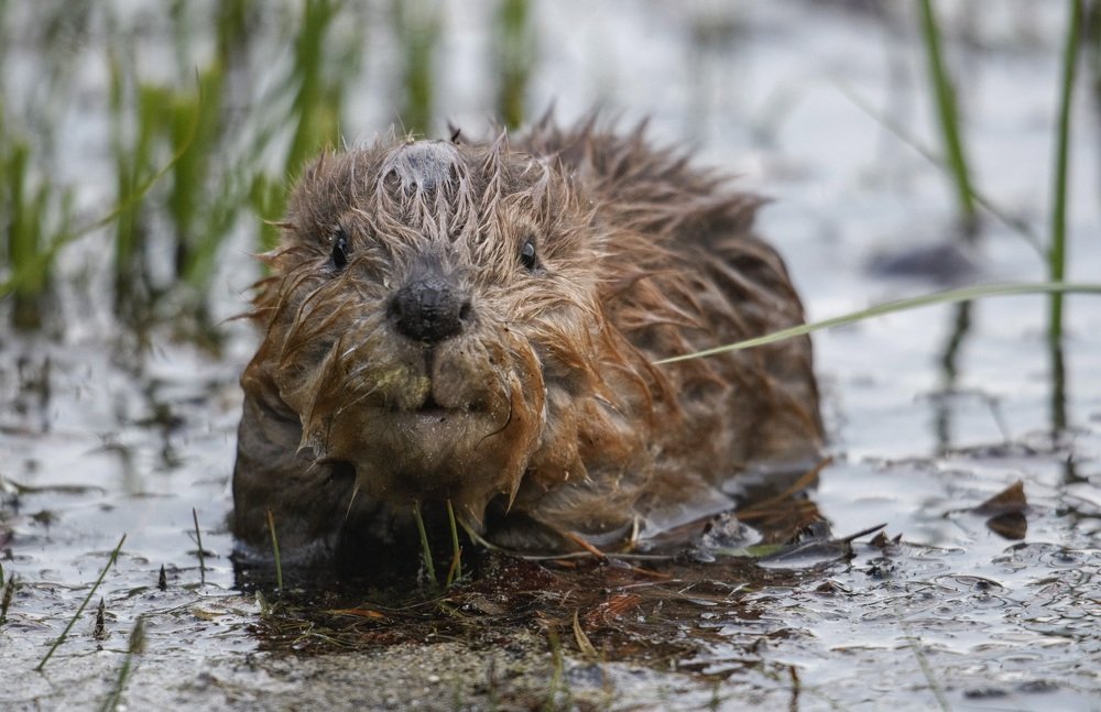 Photograph by Jorn Vangoidtsenhoven
