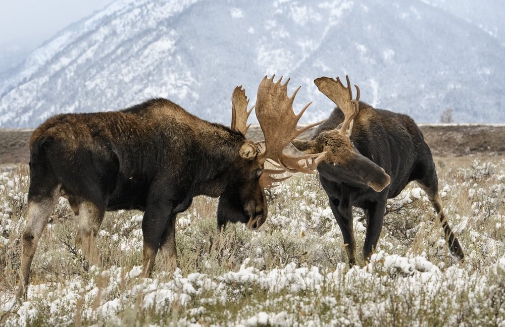 Photograph by Jorn Vangoidtsenhoven