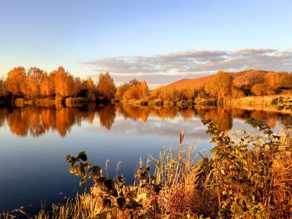 Закружилась листва золотая...