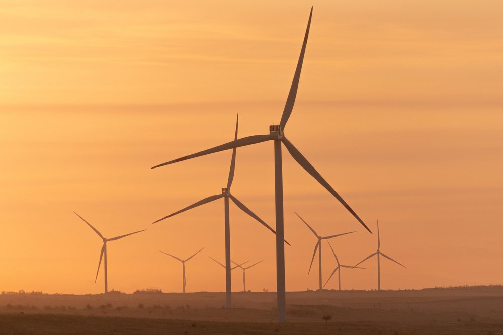 Photograph by Александр Пиленгас