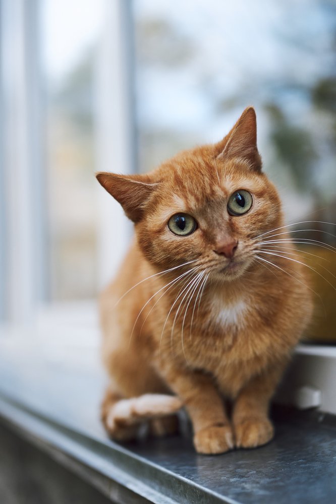 Photograph by Виктор Бабинцев