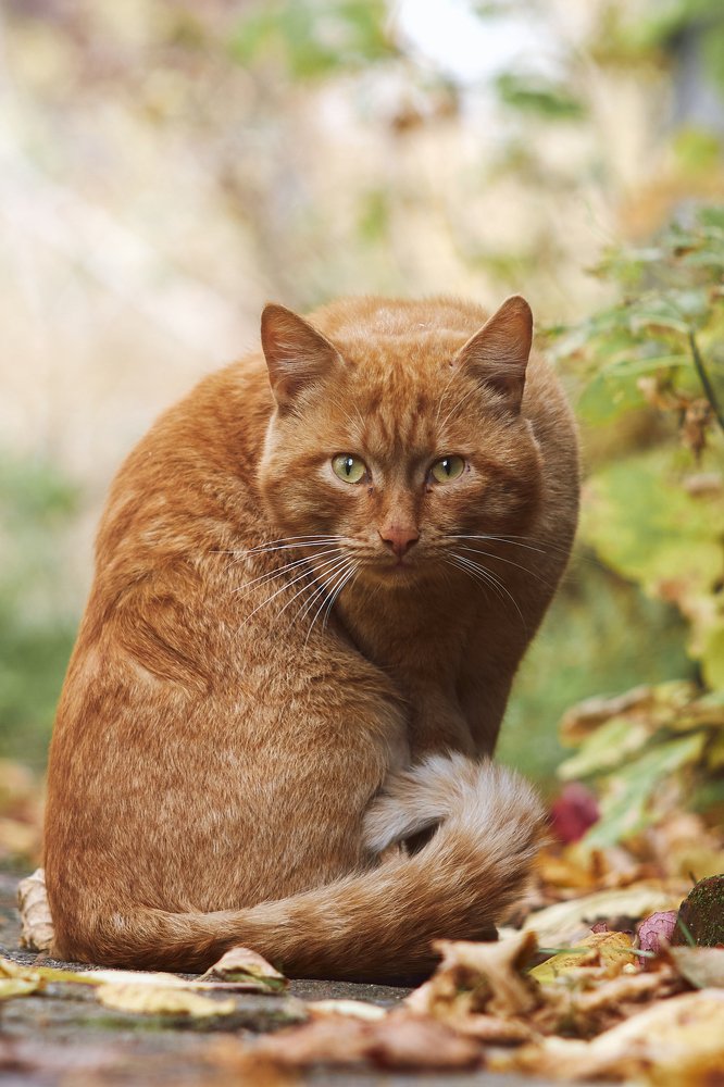 Photograph by Виктор Бабинцев