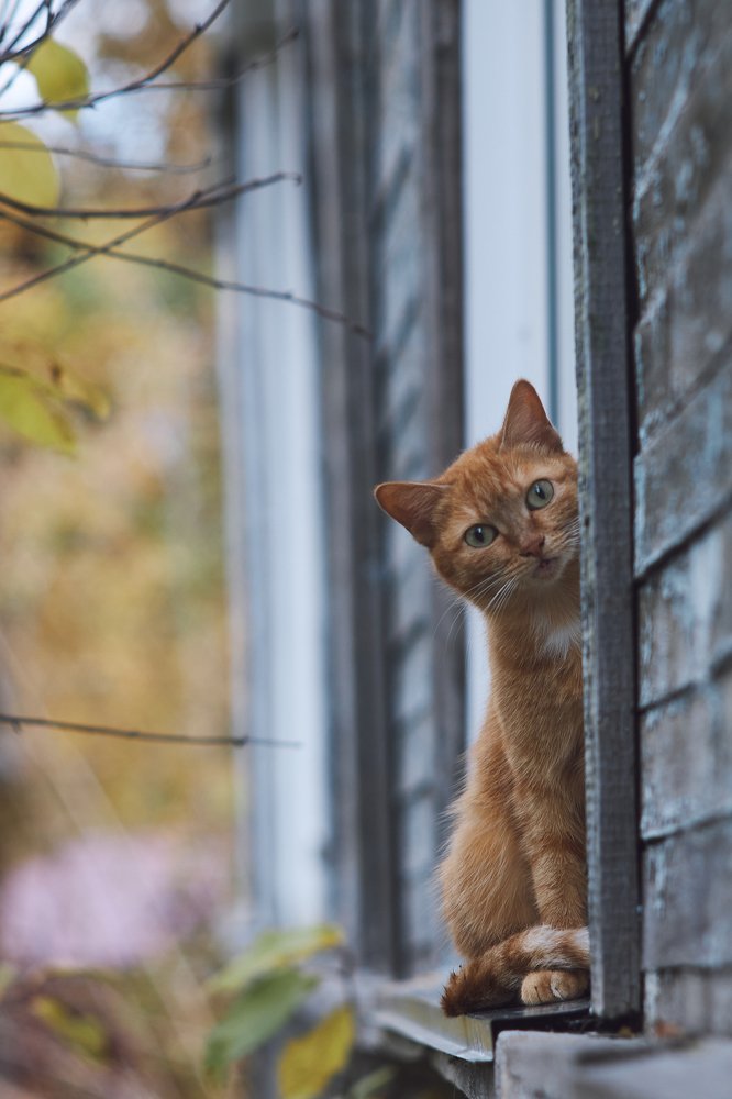 Photograph by Виктор Бабинцев