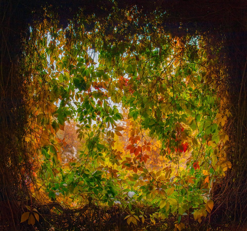 Photograph by Serguei Boukarev