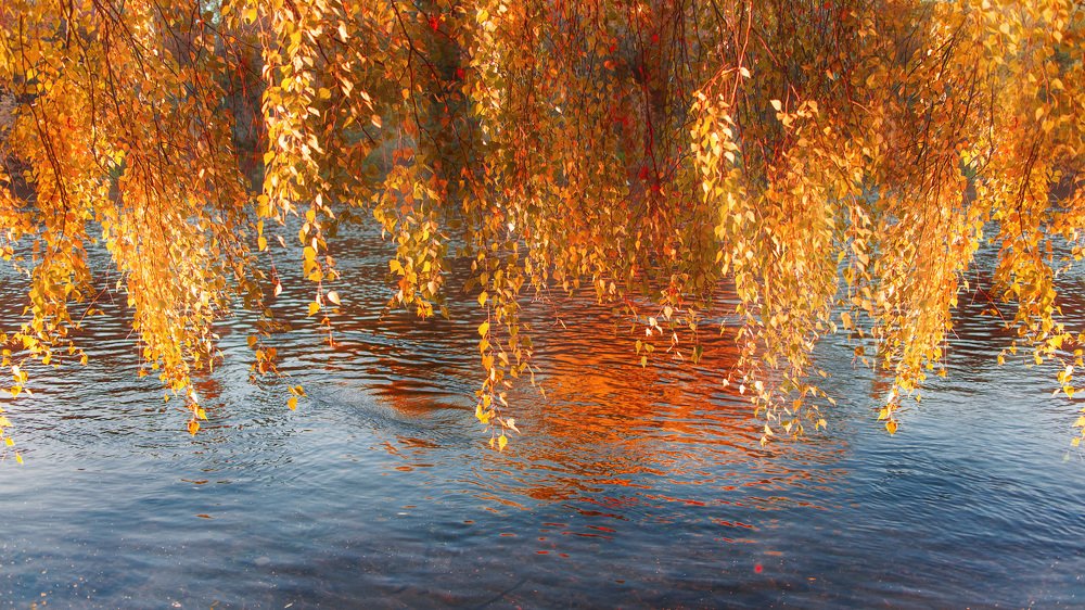 Photograph by Serguei Boukarev