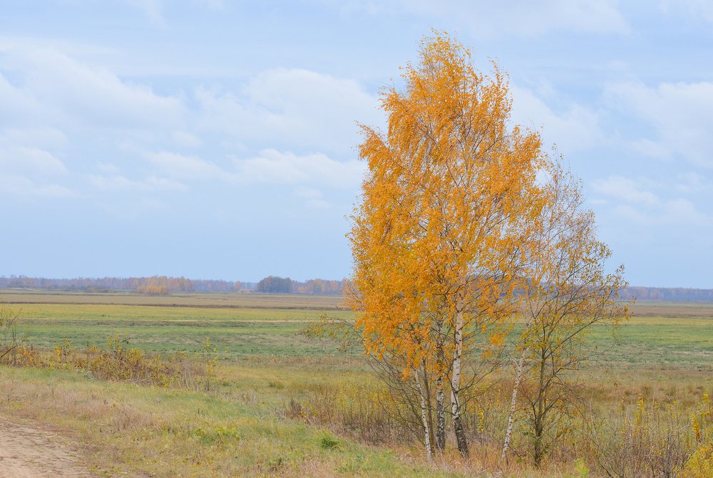 Photograph by Виктория Потапова